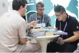 2017 121a Feria de Importación y Exportación de Guangzhou